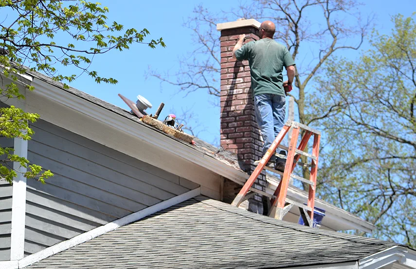Chimney & Fireplace Inspections Services in Bel Air North, MD